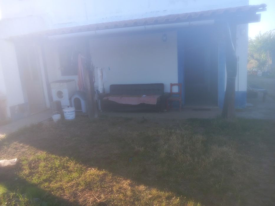 Quinta com barracao agricola Abrantes