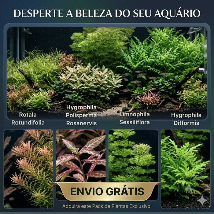 Pack 7 Espécies Plantas Aquário