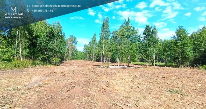 Działka budowlana 3 775 m Rżyska Radzymin S8 w leśnej otulinie - Widok 2