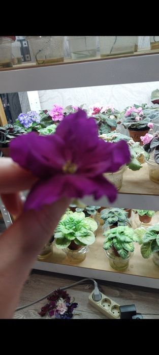 Стелаж для дому ,стелаж для квітів.