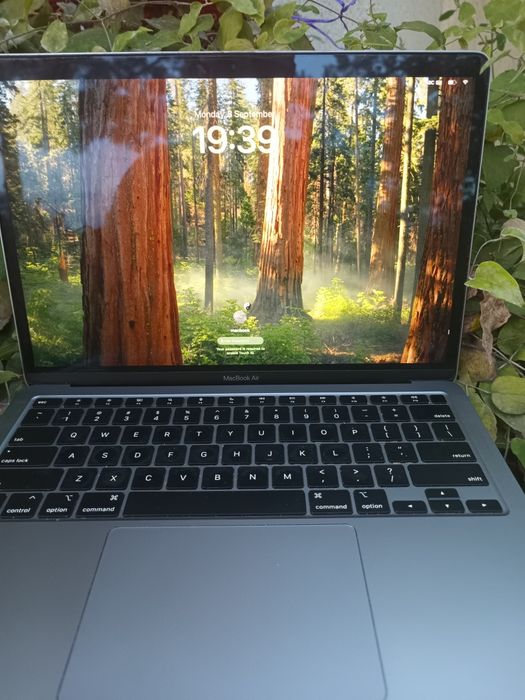 Macbook Air M1 8/256 +