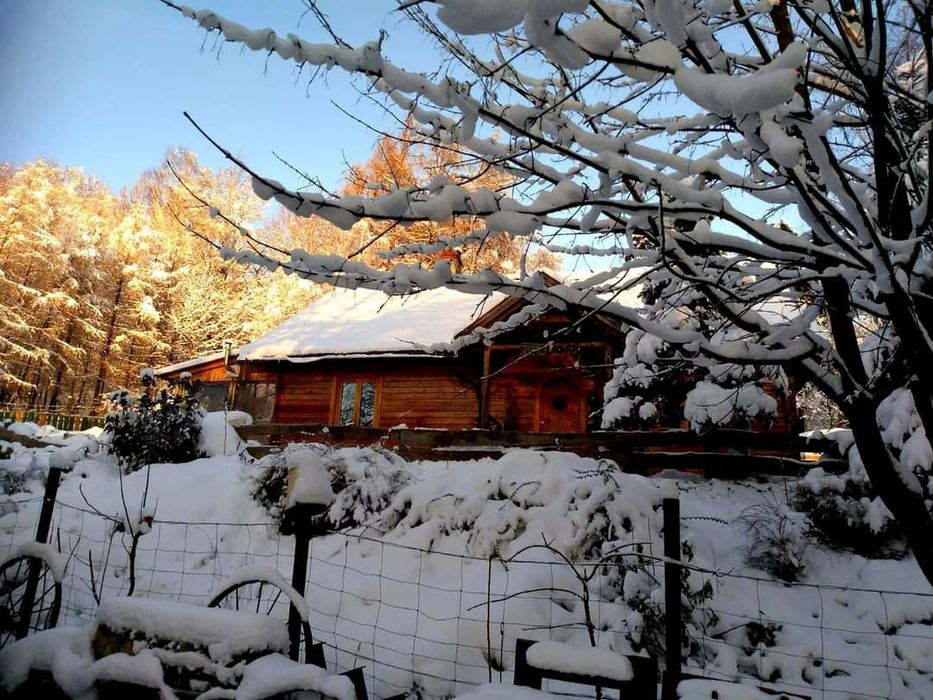 ZIMOWY wypoczynek w Górach Izerskich- Teosiowo