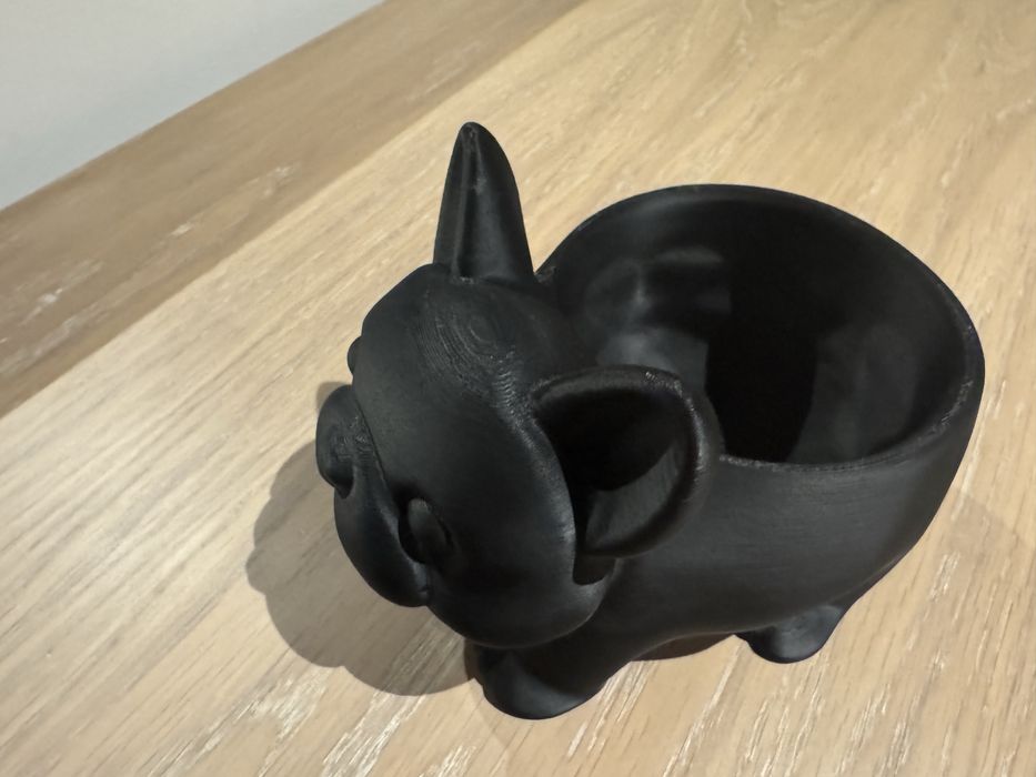 Vasos de suculentas forma de animais