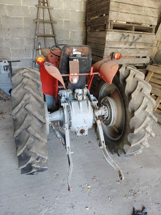 Ciągnik mf135 sadowniczy