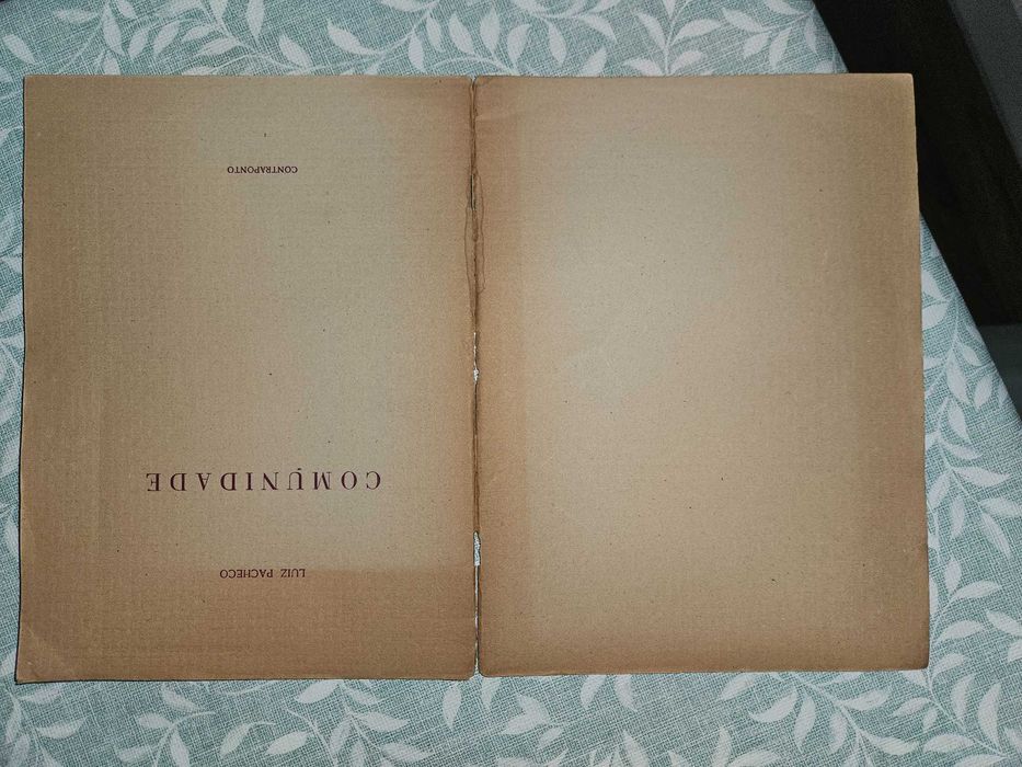 Comunidade - Livro de Luiz Pacheco - Contraponto
