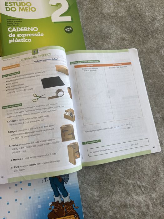 Livros escolares 2.º Ano – Matemática, Estudo do Meio, Português e Caligrafia