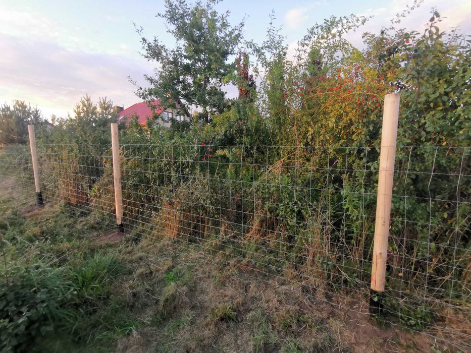 Ogrodzenia tymczasowe budowlane leśne Betonowe Słupki toczone
