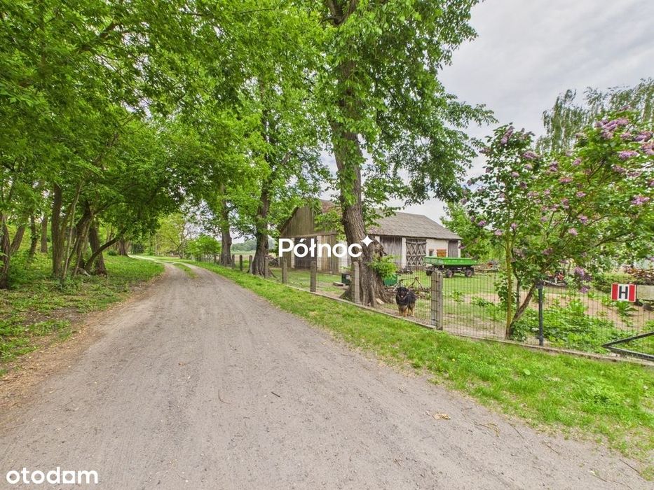 Siedlisko 15ha linia brzegowa Wisły, 65 km od WAW