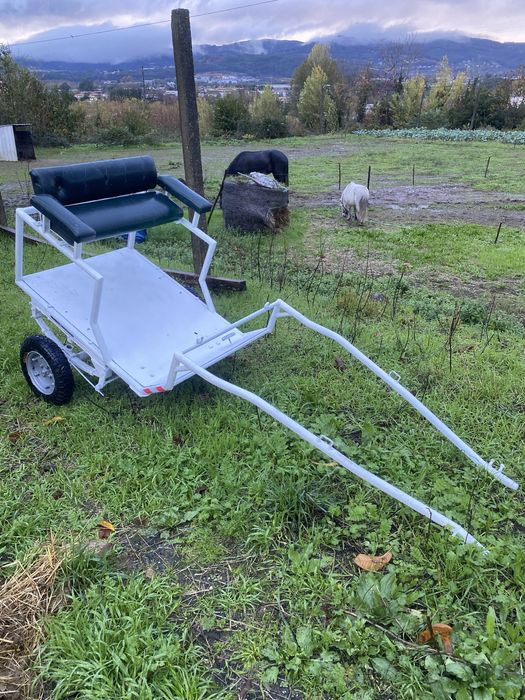 Ponei prenha + macho + charrete