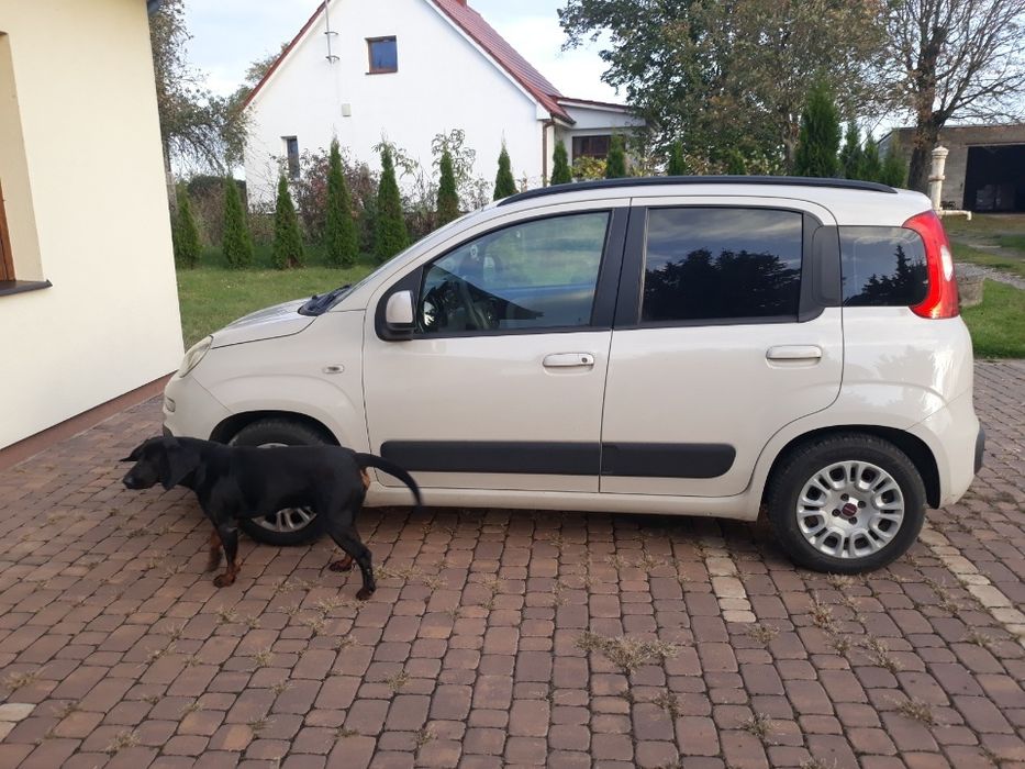 Samochód Fiat Panda