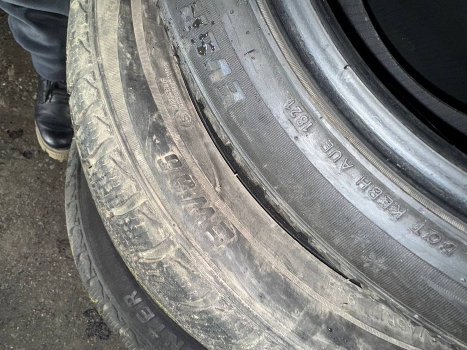 Зимние шины Evergreen EW66,Michelin 225/45 R17 91H