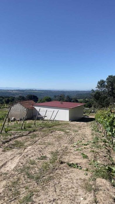 VENDE-SE/ALUGA-SE Terreno rústico 9.230 m² (Região demarcada do dão)