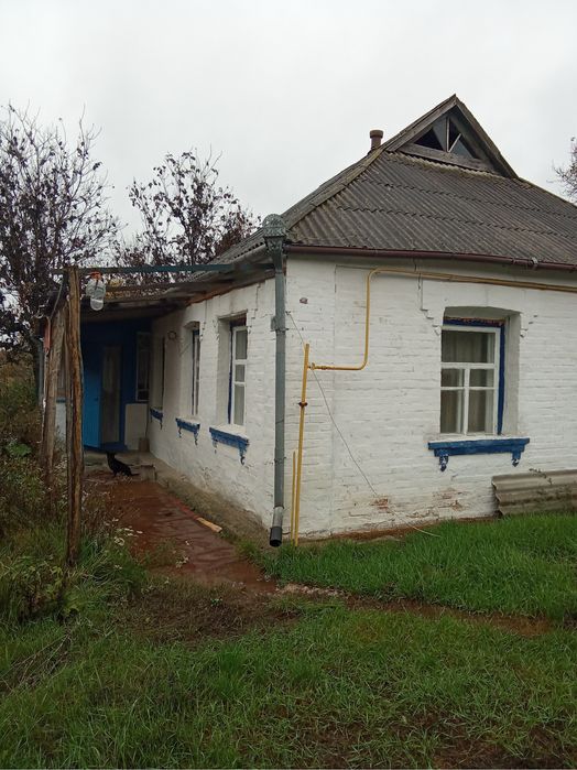Дом в селе Лисовичи