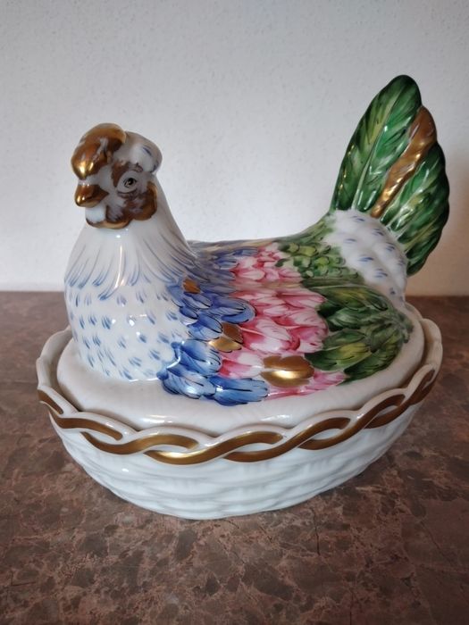 Galinha Calypso, Vista Alegre