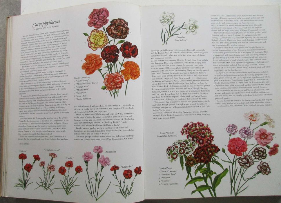Flowers of the World - - - - - Encyclopedia