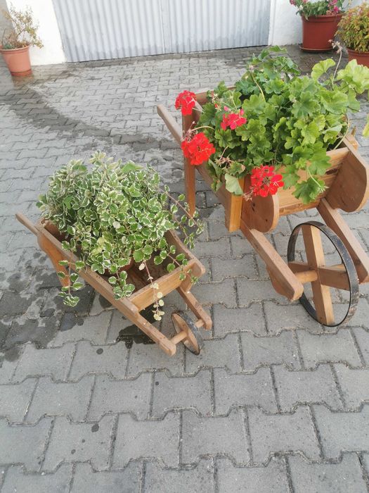 Carros de jardim
