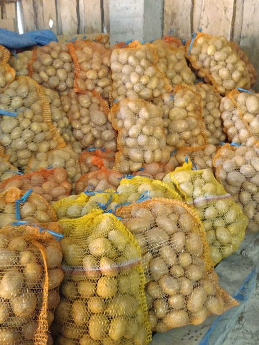 Sprzedam ziemniaki jadalne Owacja pakowane po 15kg