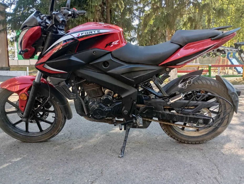 Мотоцикл FORTE FT300-C5C