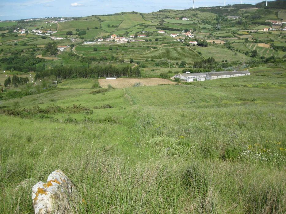 Terreno Rustico no Concelho de Sobral de Monte Agraço Santo Quintino