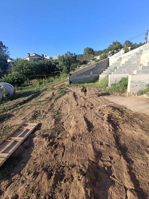 Pet hotel cuido do seu animal