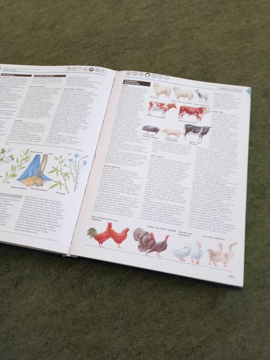 Encyklopedia uniwersalna