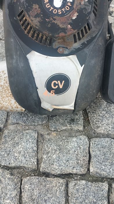 Motor para corta relva