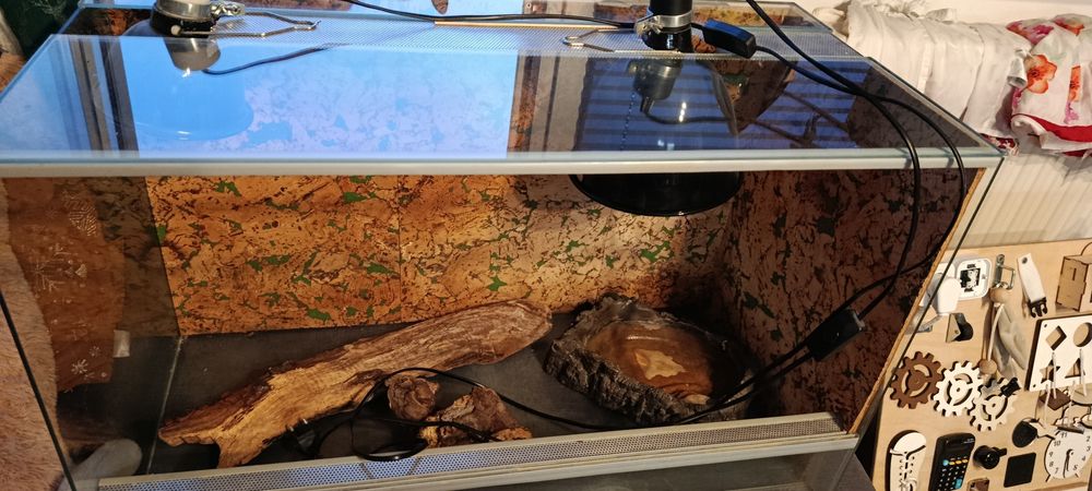 Sprzedam terrarium