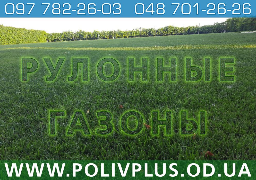 Рулонные газоны, услуги садовника