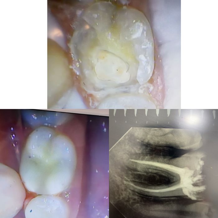 Услуги стоматолога г.Харьков
