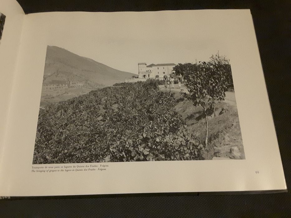 Maria Seren: Douro. Do Tua à Foz com a Fotografia Beleza