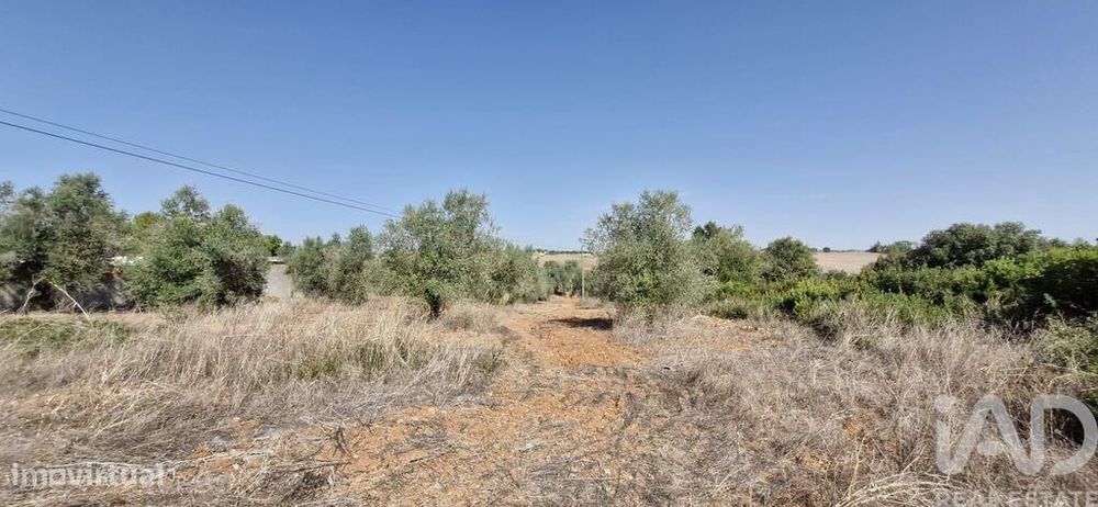 Terreno em Azambujeira e Malaqueijo de 12080,00 m2