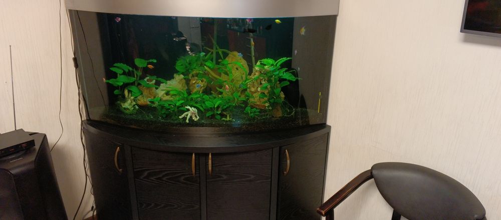 Акваріум 500 літрів