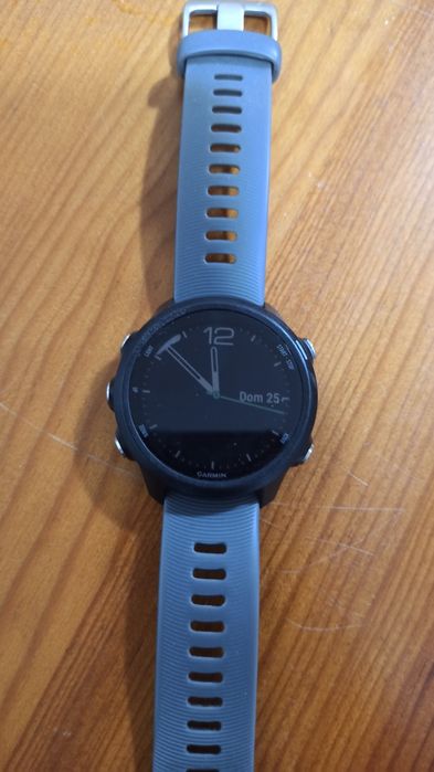 Garmin Forerunner 245