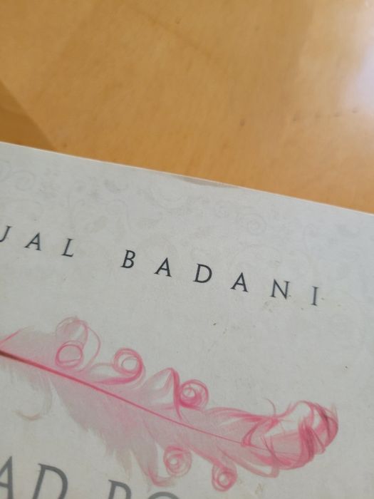 Sejal Badani "Ślad po złamanych skrzydłach"