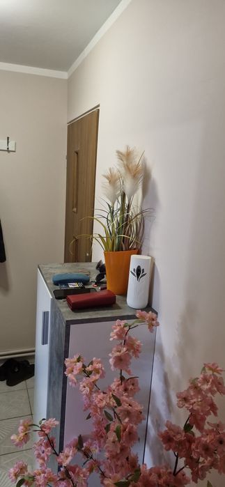 Zdjęcie 7