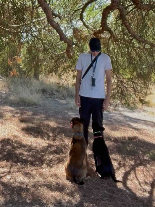 Treino Canino Balanceado em Lisboa e Setúbal – Treinador Alemão