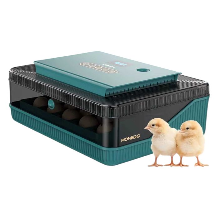 Inkubator Automatyczny 25 JAJ Z automatycznym systemem dolewania WODY