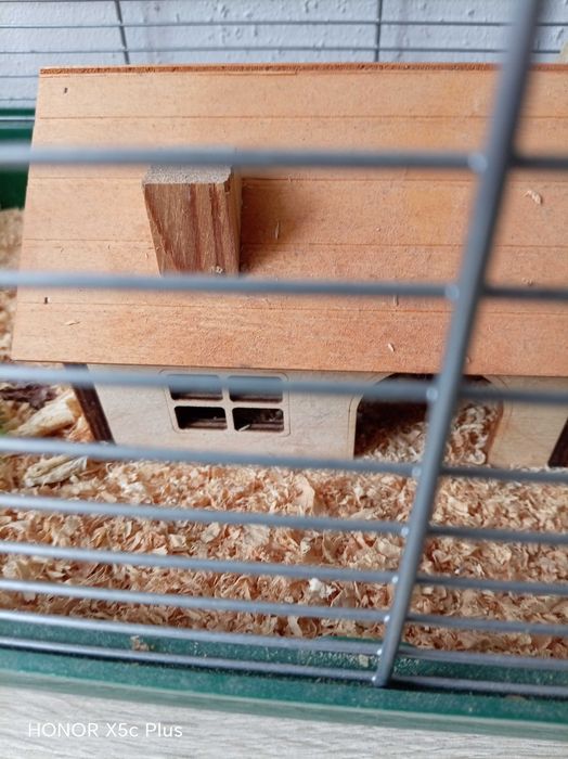 Apartament dla Chomika