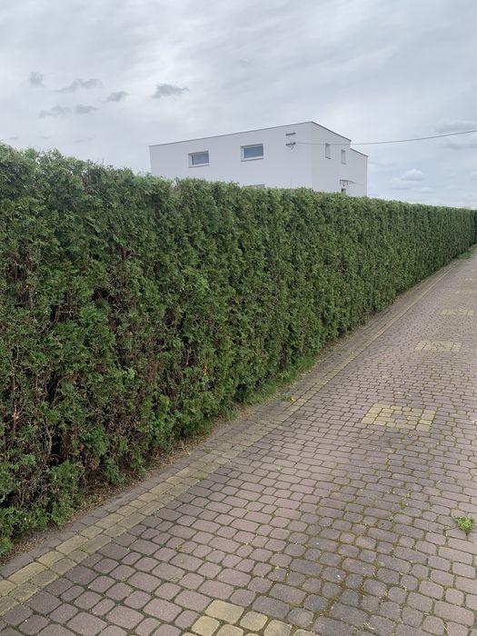 Pielegnacja ogrodów