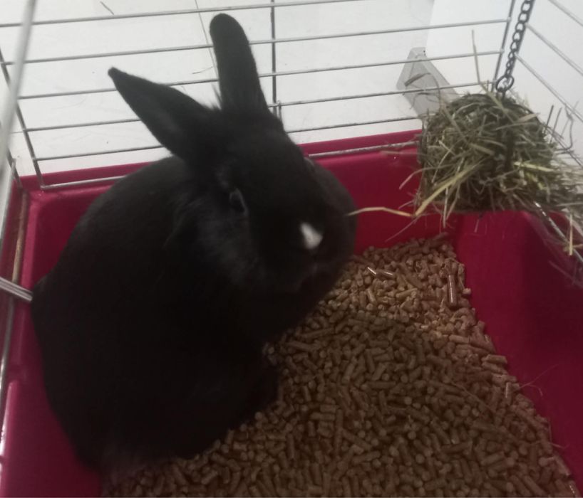 Oddam w dobre ręce.