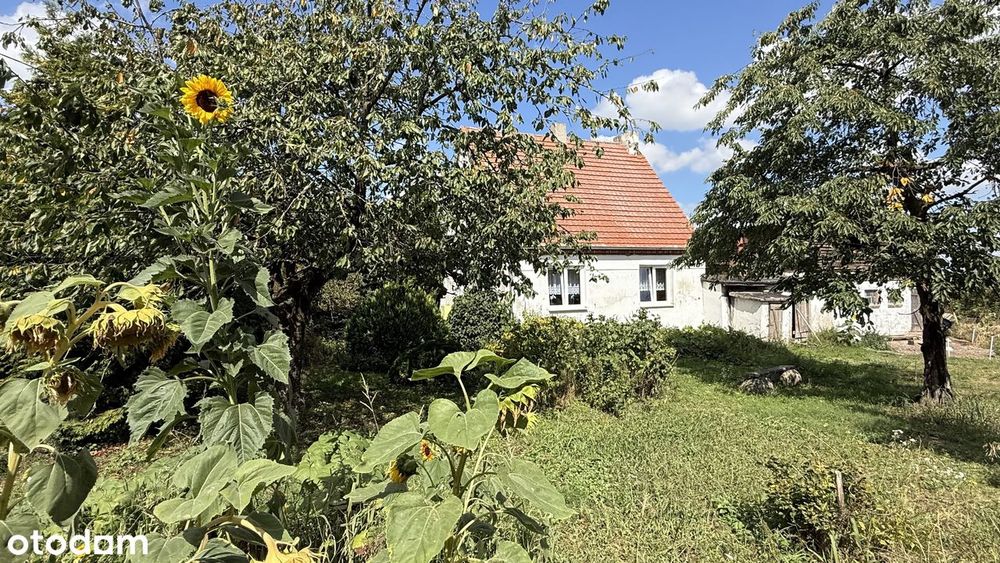 Dom – Chrapowo - Widok 3