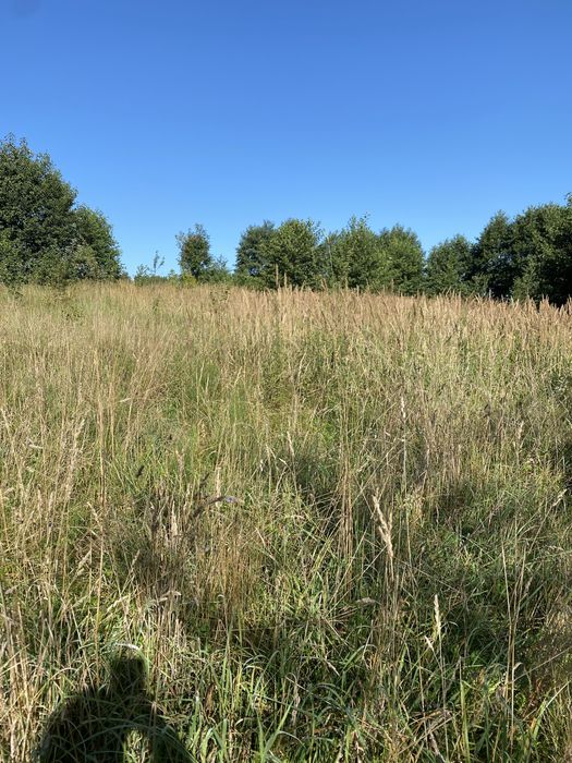 Продаж земельна ділянка 95 соток (від власника)