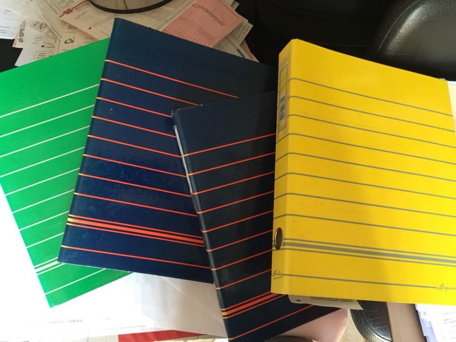 Lote 50 dossiers lombada média