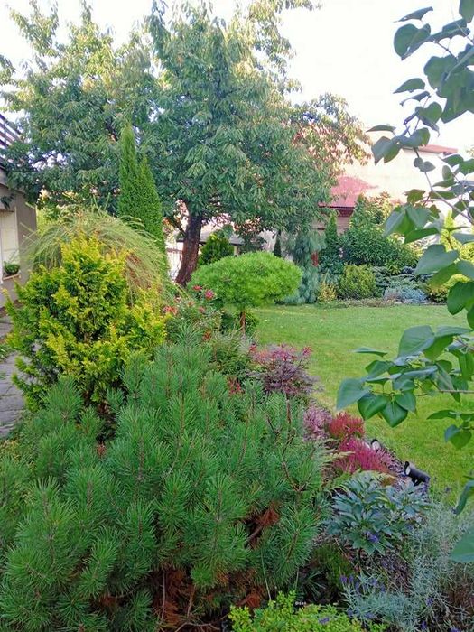 Wynajmę  umeblowany pokój - View 2