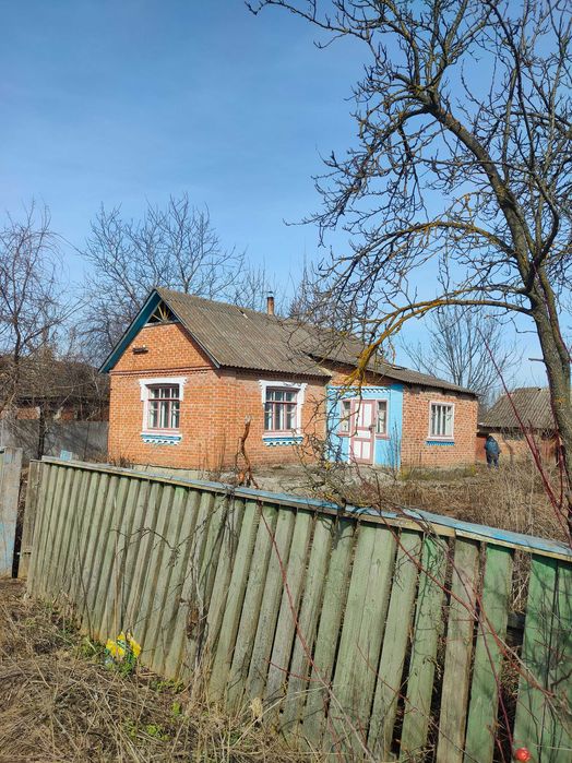 Будинок з великою ділянкою