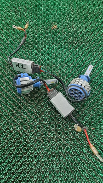 Сигнализация аллигатор