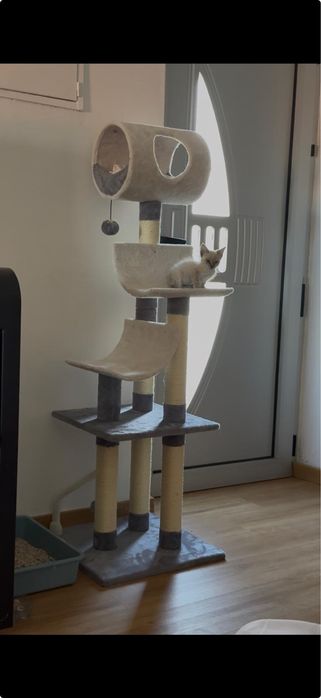 Arranhador para gato