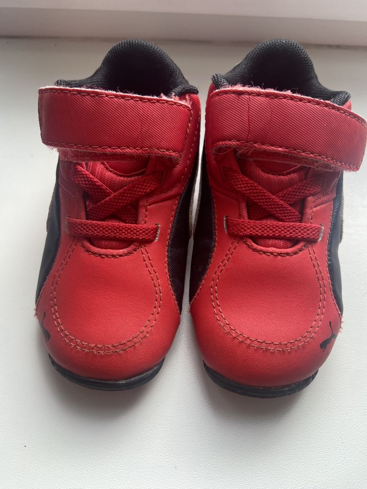 Puma ferrari velcro cheap