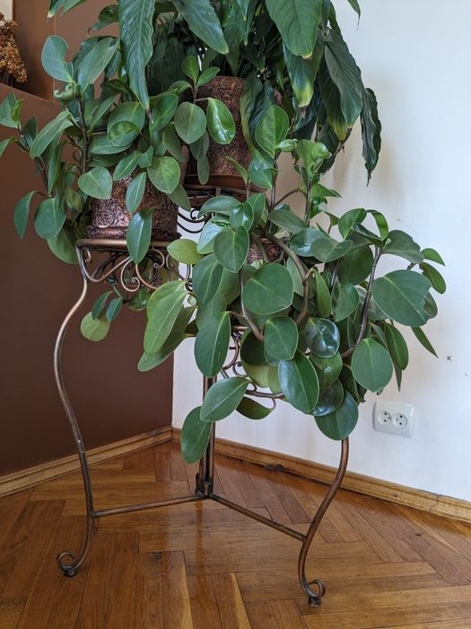 Підставка під вазони, вазон