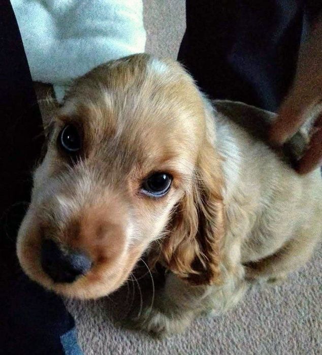 Крутезно дівчинка.